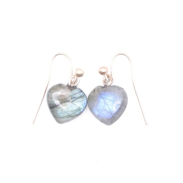 Little Love Earrings